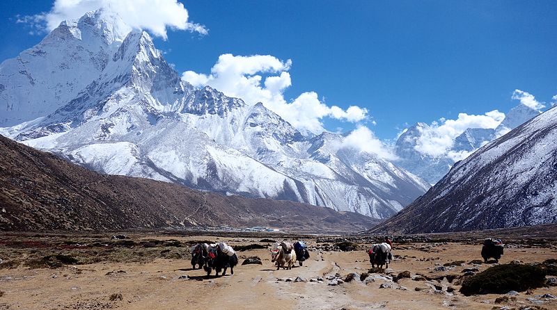 himalayan region